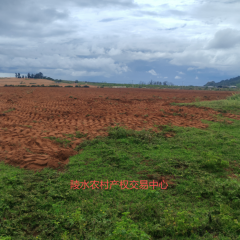 省直辖县陵水黎族自治县黎安镇岭仔村地块1集体耕地137亩经营权出租