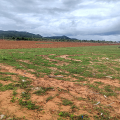 省直辖县陵水黎族自治县黎安镇岭仔村地块3集体耕地190亩经营权出租