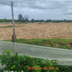 省直辖县陵水黎族自治县黎安镇岭仔村地块6-1集体耕地25亩经营权出租