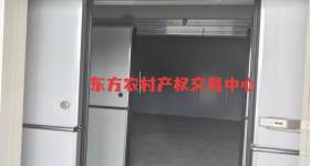 海南省直辖县东方市大田镇新宁坡村冷库棚、分拣棚和空地共5.21亩出租