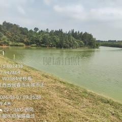 丰城市铁路镇廖桥村委会王回水库