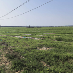 海南省直辖县万宁市和乐镇英豪村民委员会3590亩土地出租项目