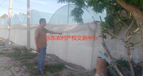 海南省直辖县乐东黎族自治县佛罗镇丰塘村洋路门（沙滩）地块9.67亩集体土地流转