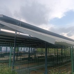 文昌市蓬莱镇桃仁村委会8亩养牛基地出租