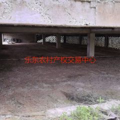 海南省直辖县乐东黎族自治县千家镇温仁村70平方米羊舍出租