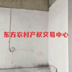 海南省直辖县东方市天安乡公爱村公爱乡村特色农贸综合型市集项目一号商业楼二层9号27.04㎡商铺出租