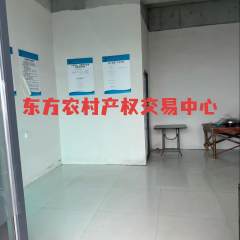 海南省直辖县东方市天安乡公爱村公爱乡村特色农贸综合型市集项目一号商业楼二层6号27.04㎡商铺出租