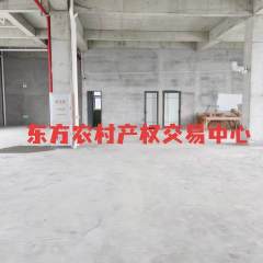 海南省直辖县东方市天安乡公爱村公爱乡村特色农贸综合型市集项目综合楼二层601.18㎡商铺出租