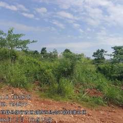 省直辖县澄迈县金江镇金马片区81.163亩闲置土地出租