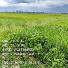 丰城市泉港镇荣巷村委会水田