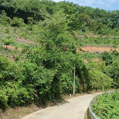 海南儋州市儋州市和庆农场有限公司英茶路地块2号树位11.07亩橡胶园土地出租