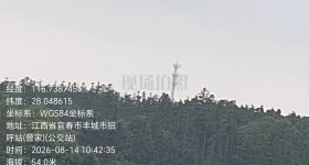 宜春市丰城市荣塘镇林场良种良法项目林木