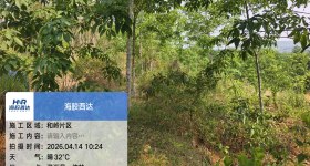 海南省直辖县澄迈县西达分公司和岭片群昌队51.18亩林下土地出租