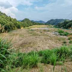 德兴市银城街道天门山居民委员会天门山居20亩荒地出租