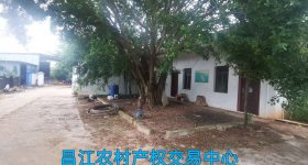 省直辖县昌江黎族自治县叉河镇红阳村第一小学校舍530㎡（土地面积7587㎡）出租