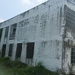海南省直辖县万宁市万城镇集庄村委会朝洋村480㎡老人疗养间对外招租项目