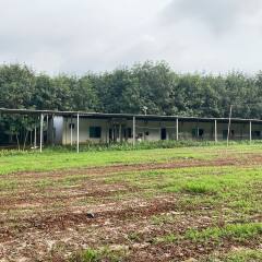 海南省直辖县白沙黎族自治县白沙县打安镇子雅村委会养猪场3.05亩及空地11亩出租