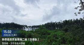海南省直辖县万宁市海胶东兴分公司白茶队78.08亩热带高效农业项目规划用地出租