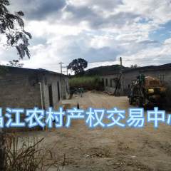 昌江黎族自治县七叉镇大仍村委会昌江县七叉镇大仍村蚕房两间 240 m'出租