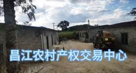 昌江黎族自治县七叉镇大仍村委会昌江县七叉镇大仍村蚕房两间 240 m'出租