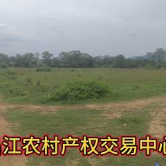 昌江黎族自治县七叉镇七叉村委会昌江县七叉镇七叉村头伍地块183.37亩集体地出租