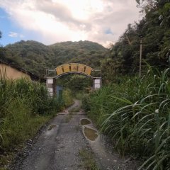 德兴市新营街道新营一村居民委员会1500亩七十坞山场
