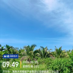海南省直辖县万宁市海胶东兴分公司中兴队74.1亩非胶椰子资产优化经营项目用地出租