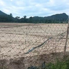 海南省直辖县万宁市龙滚镇文曲村委会文东村民小组 15.56 亩地块出租项目