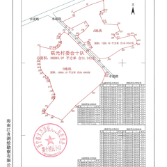 海南省直辖县万宁市大茂镇联光村委会第十村民小组31.33亩集体土地出租项目