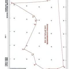 海南省直辖县万宁市后安镇龙田村委会大队农场47.03亩土地出租项目