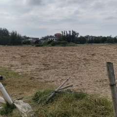 海南省直辖县万宁市和乐镇英豪村梅开组集体经济组织50 亩土地出租项目
