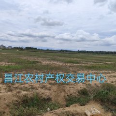 昌江黎族自治县乌烈镇纳凤村委会纳凤田、底下园、报英等1183.1亩土地出租