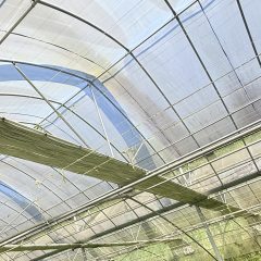 袁州区慈化镇武东村委会温室大棚