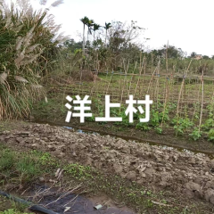 海南省直辖县万宁市长丰镇长安村委会洋上村民小组9.6亩土地出租