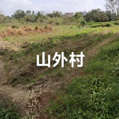 海南省直辖县万宁市长丰镇长安村委会山外村民小组5.8亩土地出租