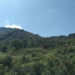 德兴市万村乡沙畈村民委员会沙畈村949亩林地使用权