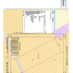 海南省直辖县万宁市万城镇裕光社区第十七小组南门洋4.5亩土地出租项目