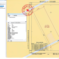 海南省直辖县万宁市万城镇裕光社区第十一小组南门洋4.5亩土地出租项目