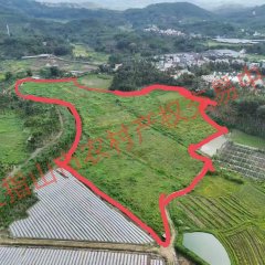 五指山市南圣镇牙南村委会65亩耕地出租