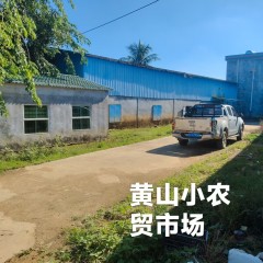 万宁市长丰镇黄山村委会小农贸市场出租