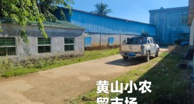 万宁市长丰镇黄山村委会小农贸市场出租