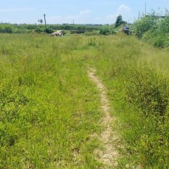 海南省直辖县万宁市万宁市万城镇裕光社区第十三小组南门洋4.5亩土地出租项目