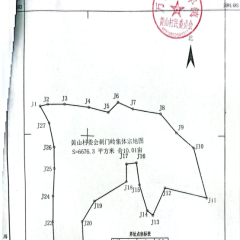 海南省直辖县万宁市万宁市长丰镇黄山村委会刺门岭10.01亩集体土地出租项目