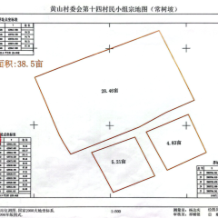 海南省直辖县万宁市万宁市长丰镇黄山村委会第十四村民小组38.5亩林地出租项目