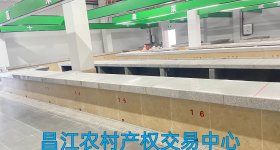 昌江黎族自治县乌烈镇纳凤村委会棋子湾.山海泉十个摊位出租