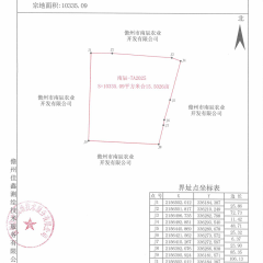 海南儋州市儋州市南辰农业开发有限公司一队牛潭班1号地块15.5026亩橡胶园土地出租