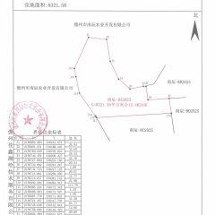 海南儋州市儋州市南辰农业开发有限公司一队牛潭班2号地块12.4824亩橡胶园土地出租