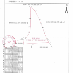 海南儋州市儋州市南辰农业开发有限公司一队牛潭班3号地块12.4824亩橡胶园土地出租