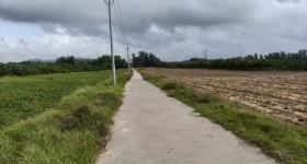 海南省直辖县万宁市万宁市山根镇横山村委会第十七村民小组65亩集体土地出租项目