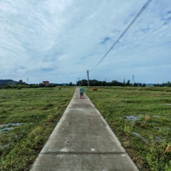 海南省直辖县陵水黎族自治县黎安镇后岭村66.72亩集体耕地经营权出租